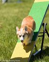 20170521-neat-1273