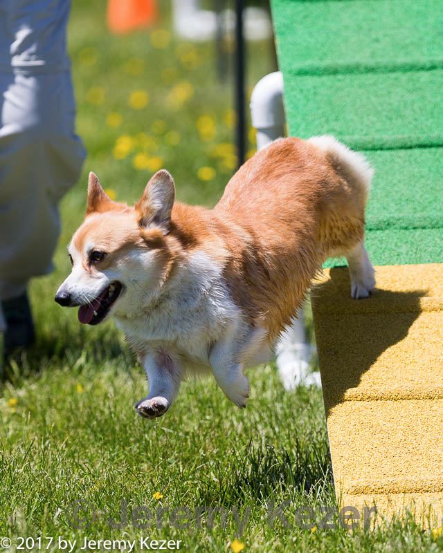 20170521-neat-1265.jpg