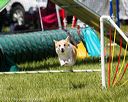 20170521-neat-1088