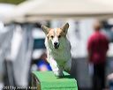 20170521-neat-1099
