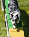 20170521-neat-1153