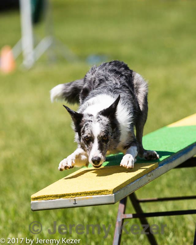 20170521-neat-1138.jpg