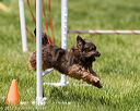20170521-neat-1071