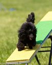 20170521-neat-1040