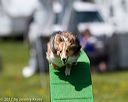 20170521-neat-1024