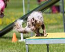 20170521-neat-0908
