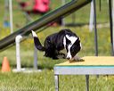 20170521-neat-0942