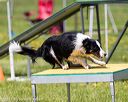 20170521-neat-0846