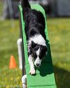 20170521-neat-0862