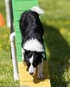 20170521-neat-0863