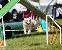 20170521-neat-0866