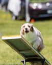 20170521-neat-0868
