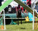 20170521-neat-0815