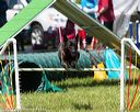 20170521-neat-0816