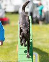 20170521-neat-0832