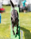 20170521-neat-0833