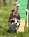 20170521-neat-1759