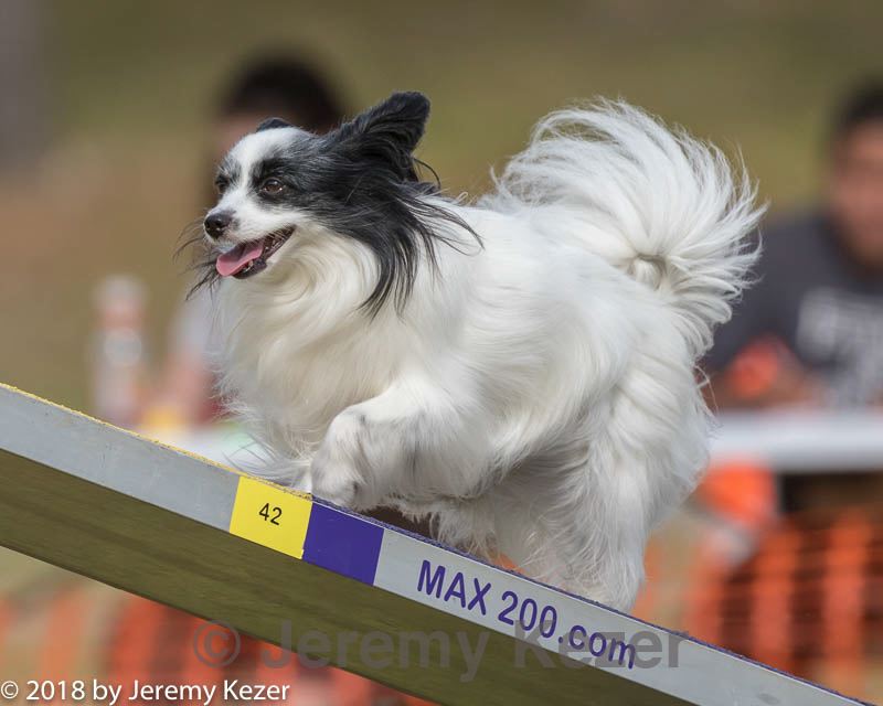 20180616-1820.jpg