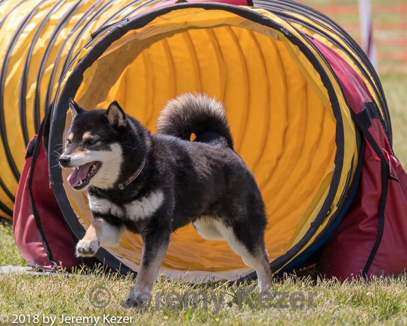 20180616-1268.jpg