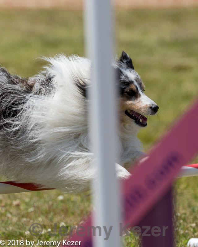 20180616-1315.jpg