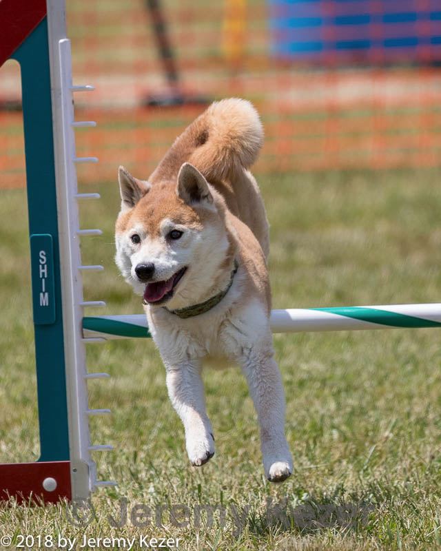 20180616-1343.jpg
