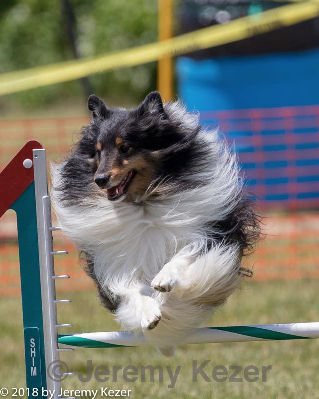 20180616-1121.jpg