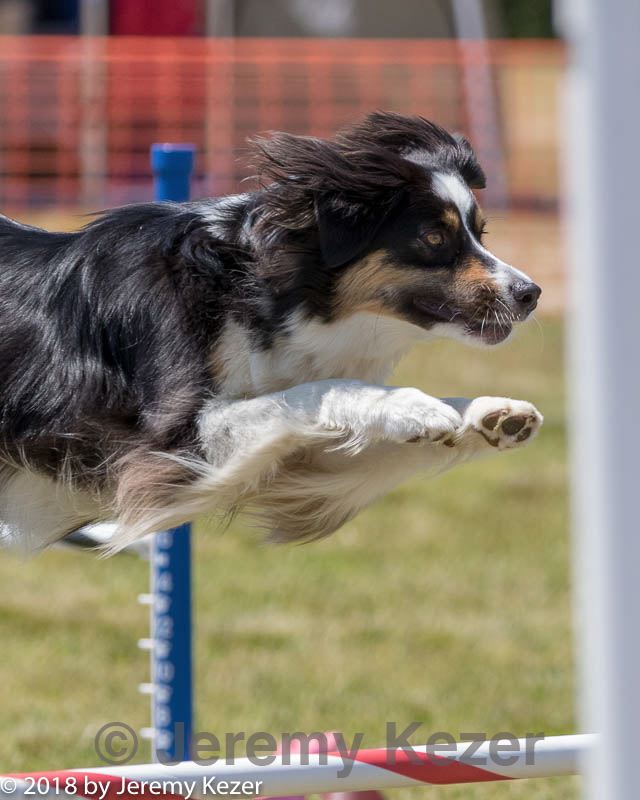 20180616-1226.jpg