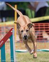20180616-0997