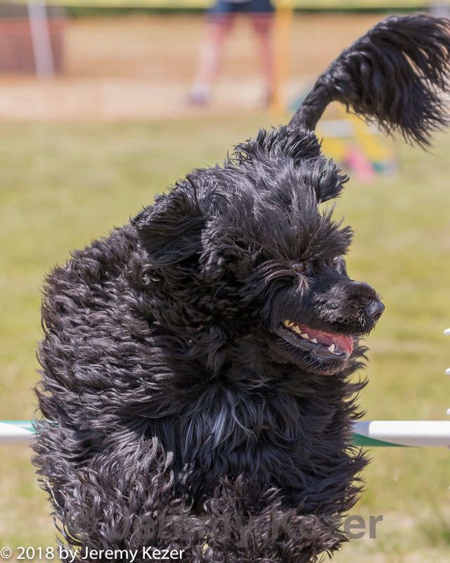 20180616-0845.jpg