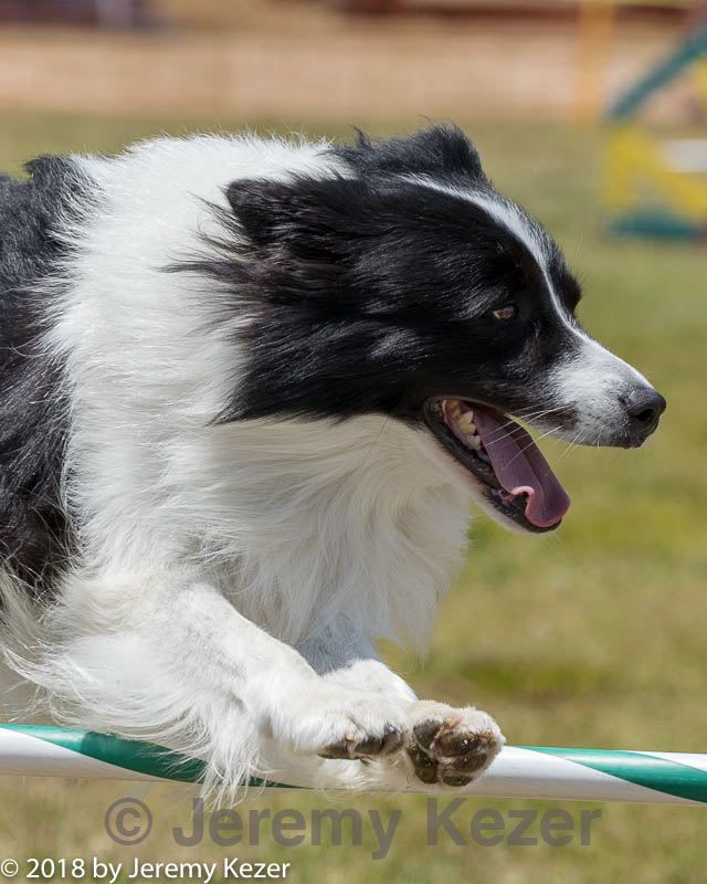 20180616-0949.jpg