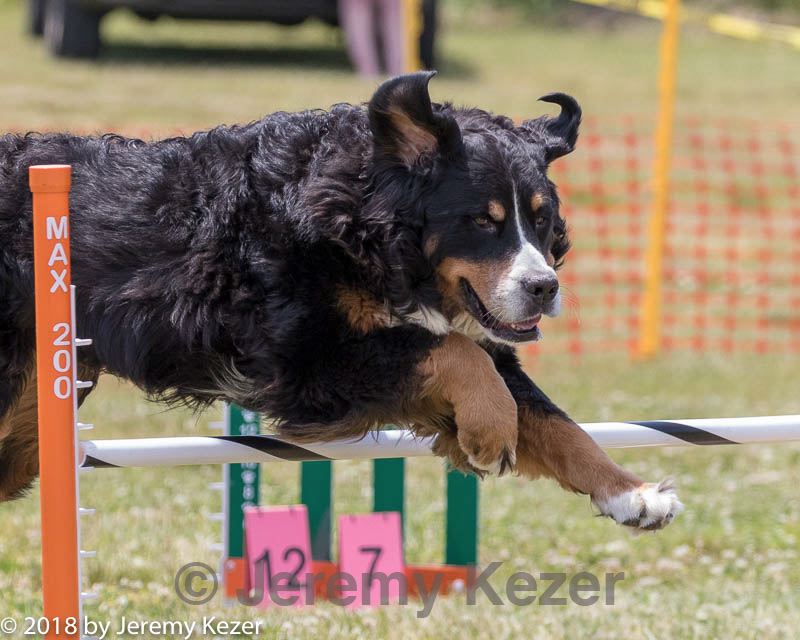 20180616-1016.jpg