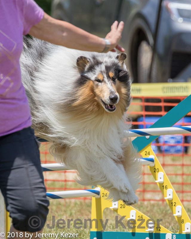 20180616-0719.jpg
