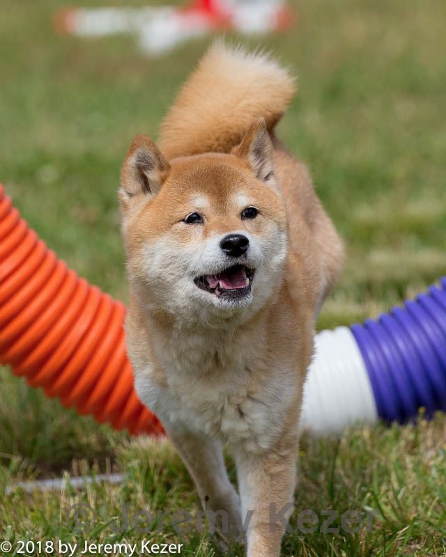 20180616-0372.jpg