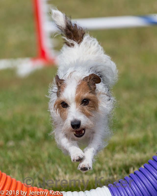 20180616-0382.jpg
