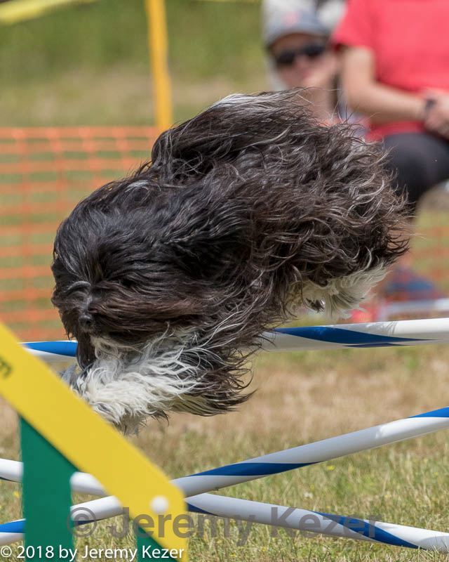 20180616-0581.jpg