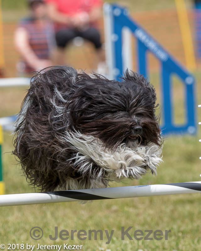 20180616-0585.jpg