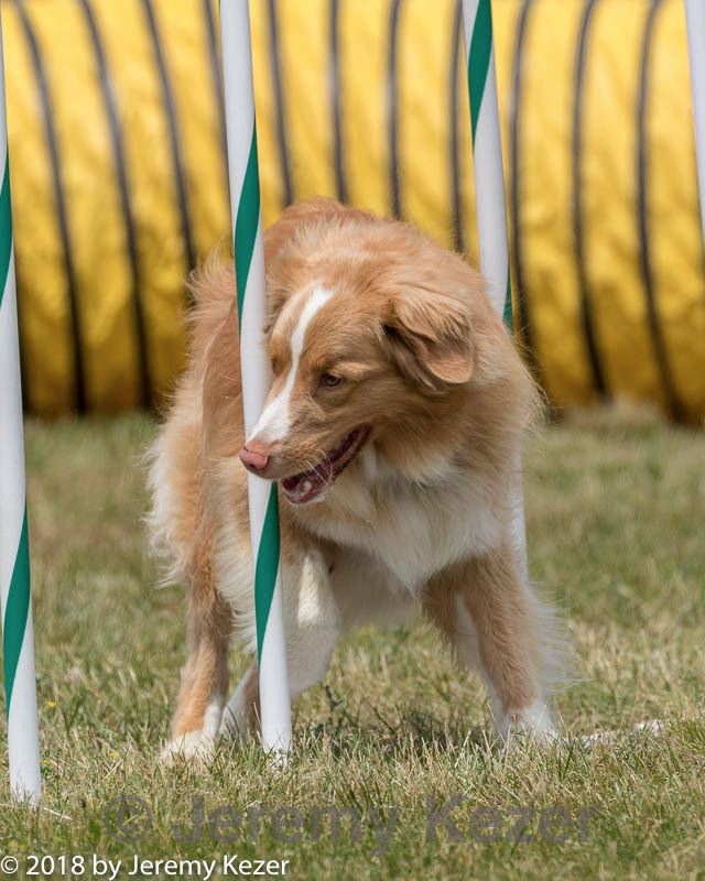 20180616-0628.jpg