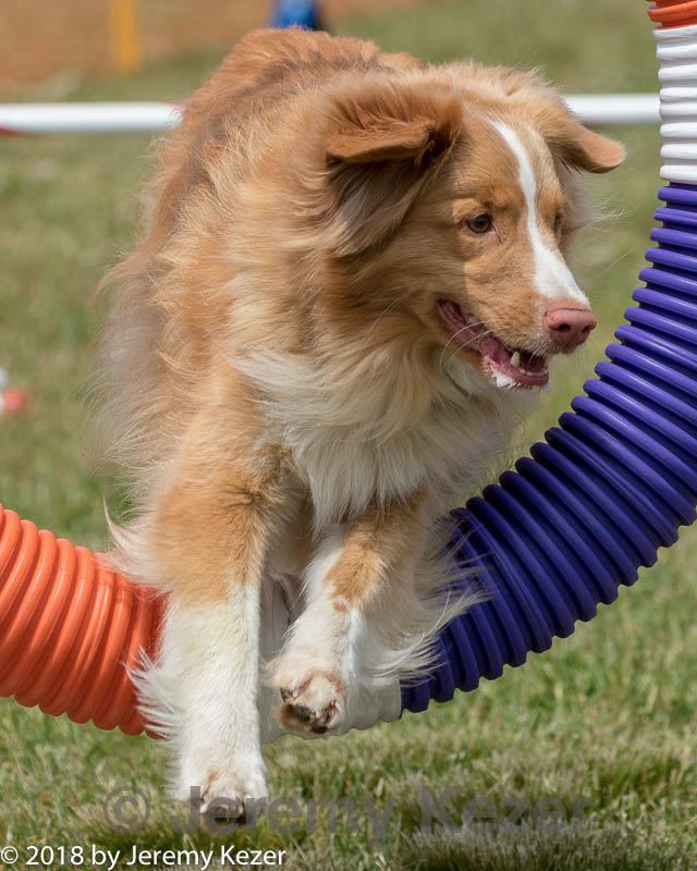 20180616-0633.jpg