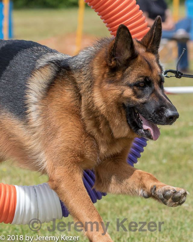 20180616-0571.jpg