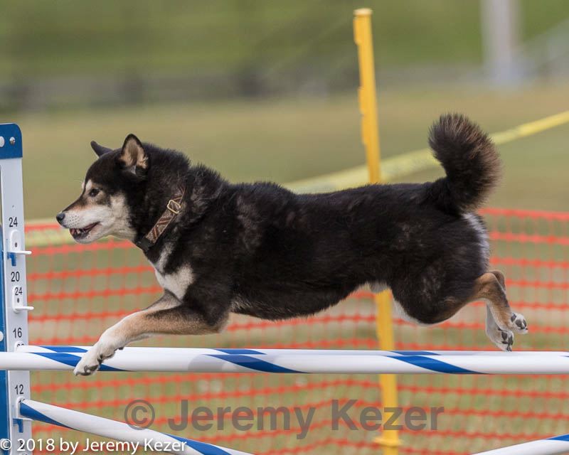 20180616-1859.jpg