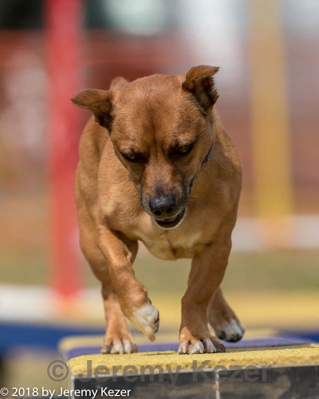20180616-1544.jpg