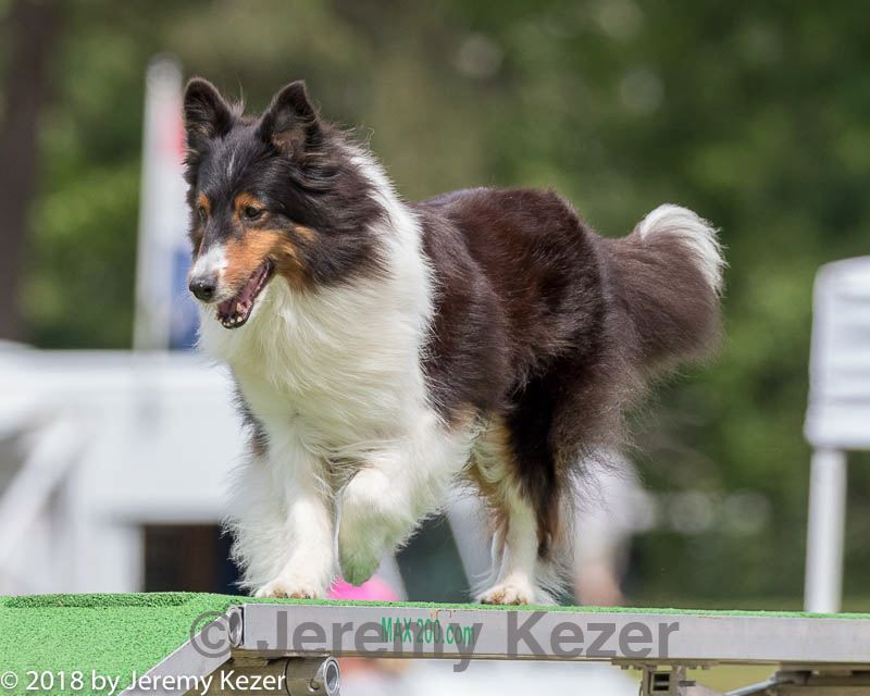 20180616-1498.jpg