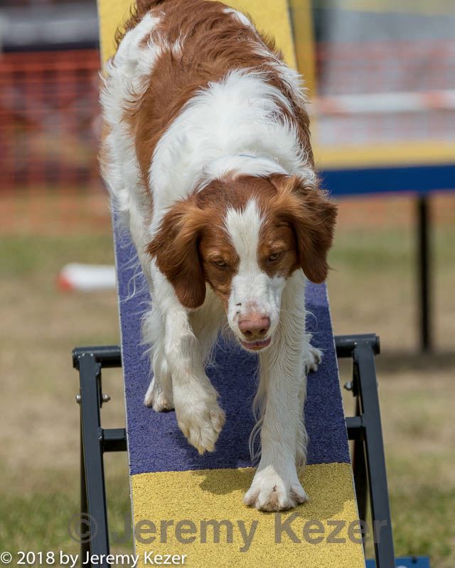 20180616-1451.jpg
