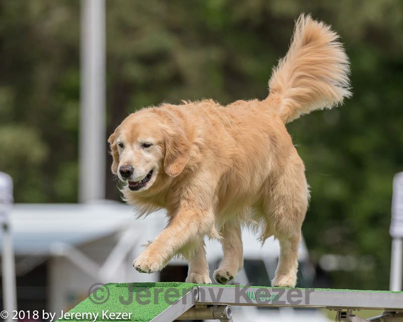 20180616-1483.jpg