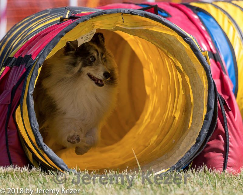 20180617-0394.jpg