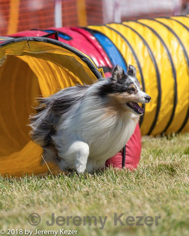 20180617-0457.jpg