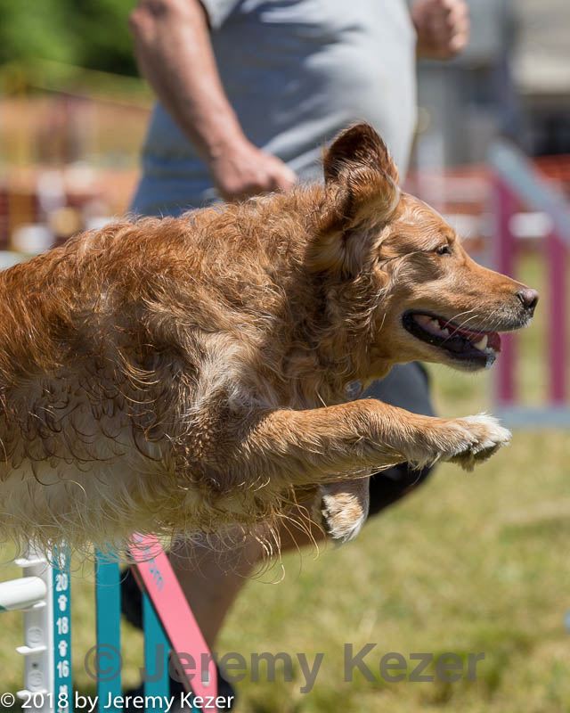 20180617-0692.jpg