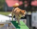 20180617-1108