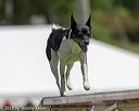 20180617-1318