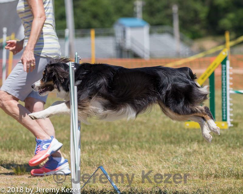 20180617-1254.jpg
